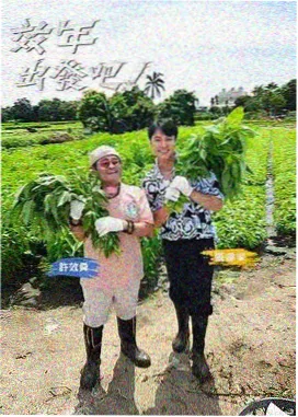 剧目封面图鉴样本三，用于综艺类目的序号与词汇命名校验